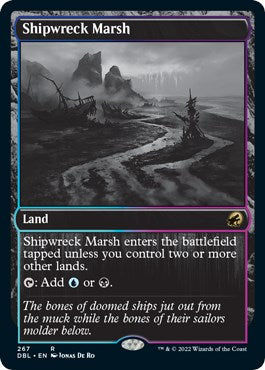 Shipwreck Marsh [DBL - 267]