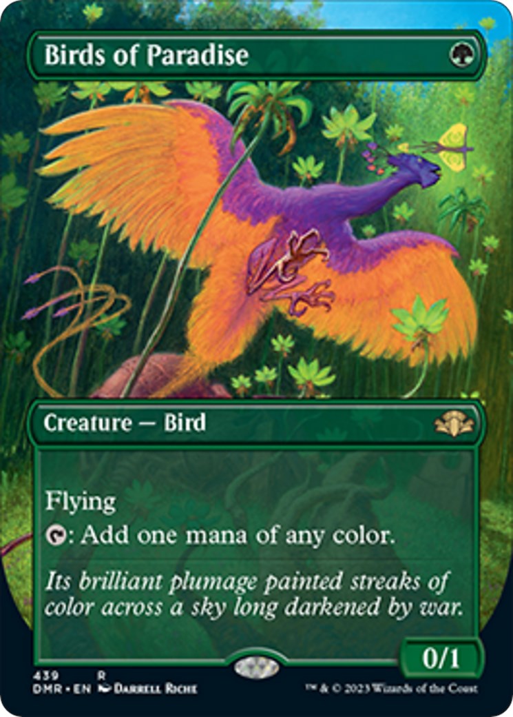 Birds of Paradise (Borderless) [DMR - 439]